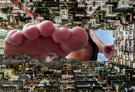 wild boar giant star du porno en haute qualité photos