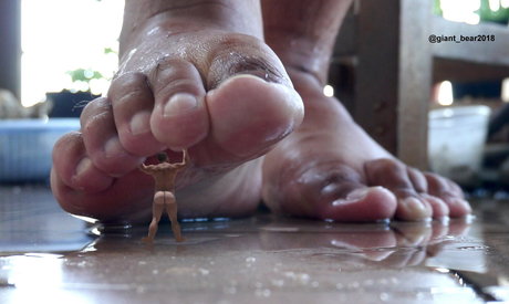 wild boar giant jolie star du porno galeries