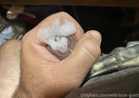 wild boar giant star pornographique img