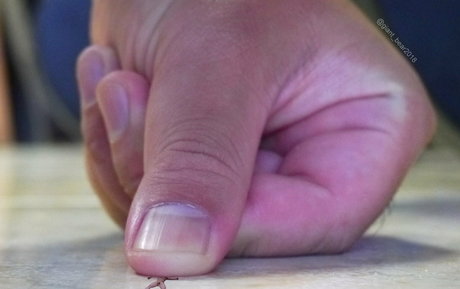 asmr xxx uniquementfans art sympa galerie