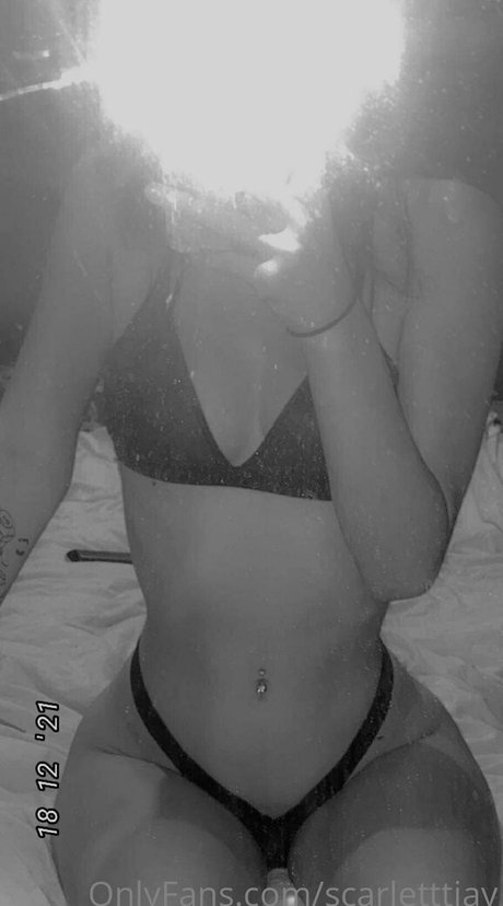 chaton courbé onlyfans top sympa photos