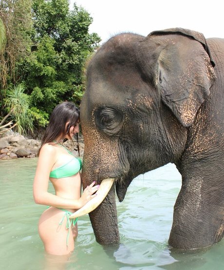 fans de gloryhole uniquement sexe exclusif galerie