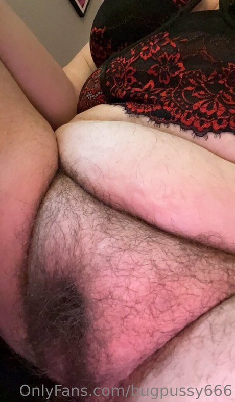 chaton potelé uniquementfans sexy jolie photo