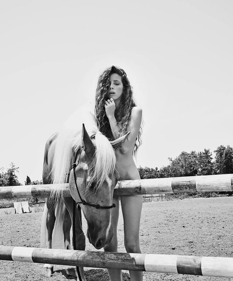 Daniel Shtaiman nus étoiles archive