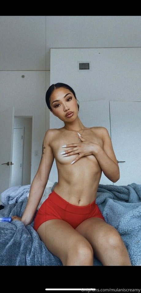 wetaja haut étoile galerie