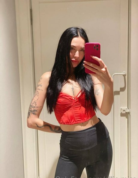 ellie miss art étoile image