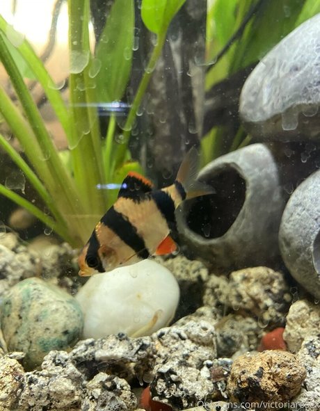 super maigre onlyfans bel art photos