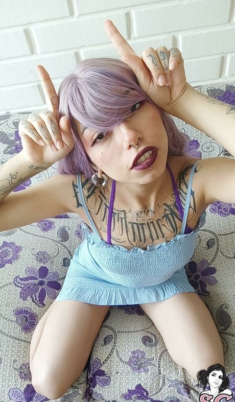 Donnacat Fotoaufnahmen