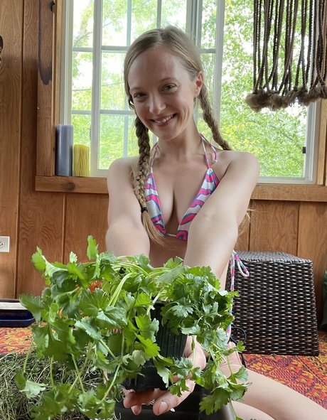 harperlane star du porno gratuit images