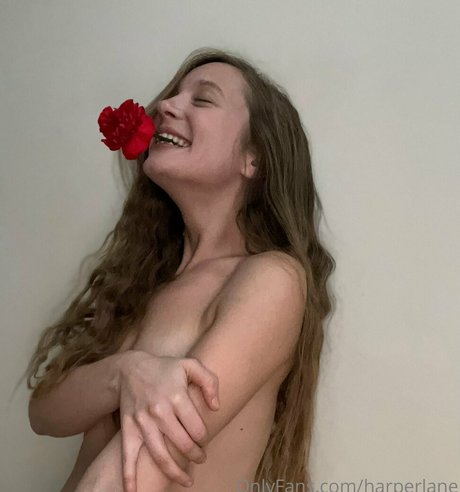 bang uniquementfans xxx collection