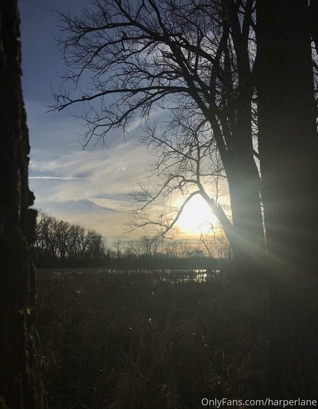 harperlane haut modèle archive