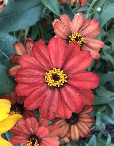 harperlane actrice libre galeries