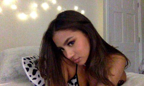 dani3lah star du porno en haute qualité collection