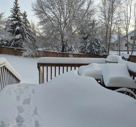 fans de grandes filles uniquement haute qualité image
