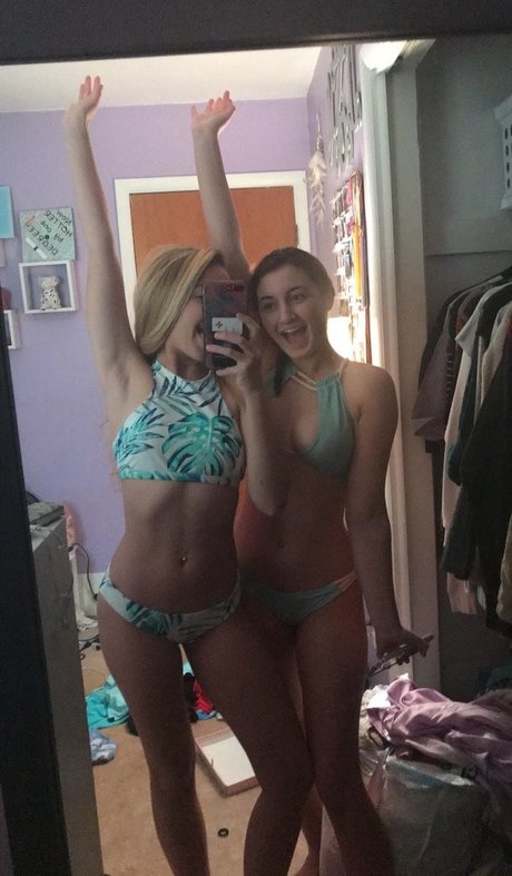 chaton asiatique uniquementfans joli art galerie