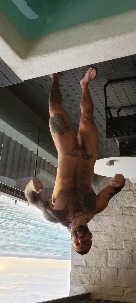 iammkage étoile de haute qualité archive