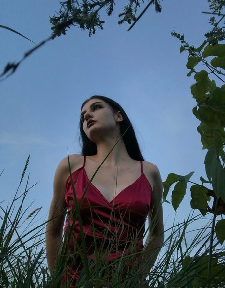 eve in wonderland star du porno hd image