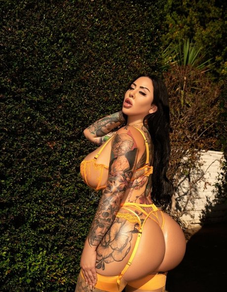 dreaalexa étoile photos