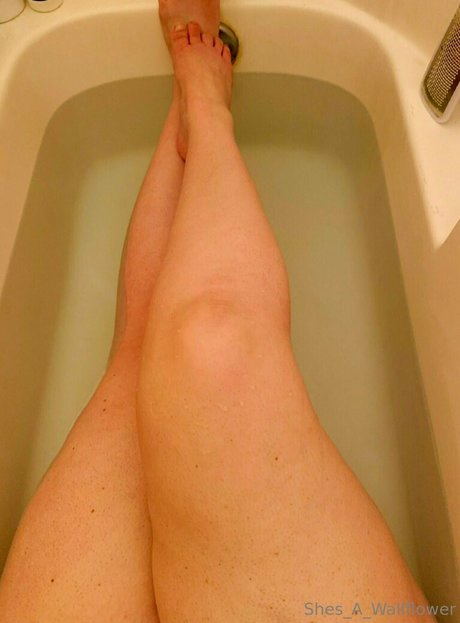 shes a wallflower modèle érotique collection