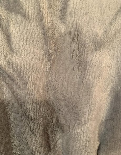 shes a wallflower belle étoile galerie