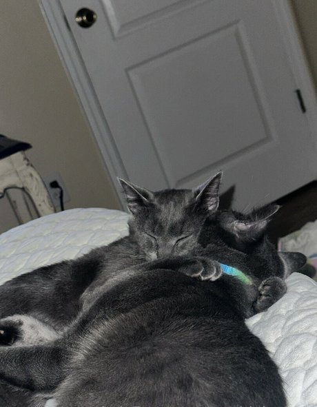 liste onlyfans gratuite des nus sympas galerie