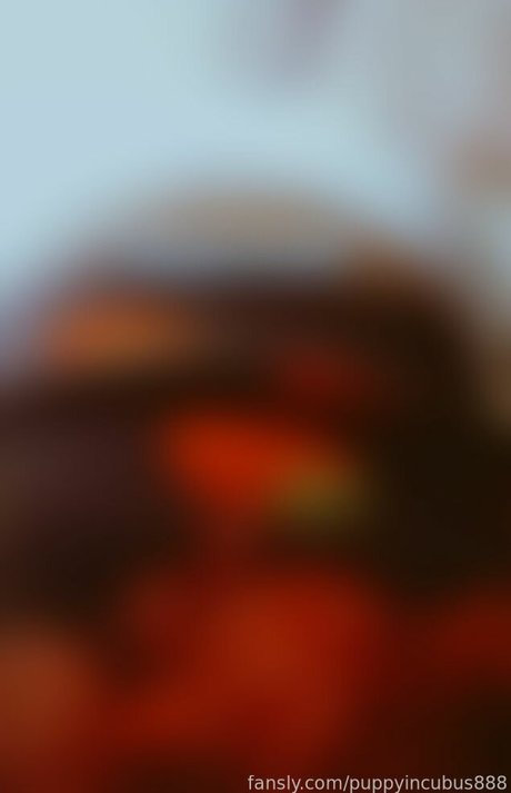 puppyincubus888 star du porno gratuit galeries