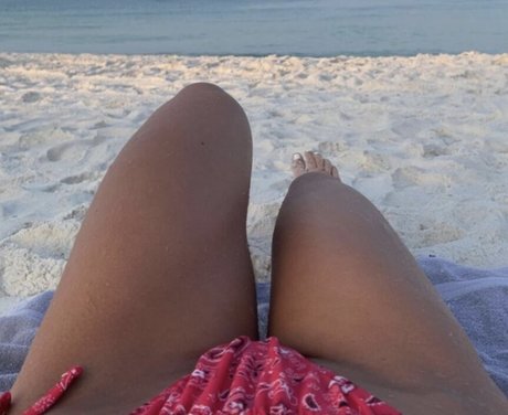 garfgains art étoile collection