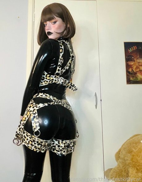 thecutestkittycat beau modèle image