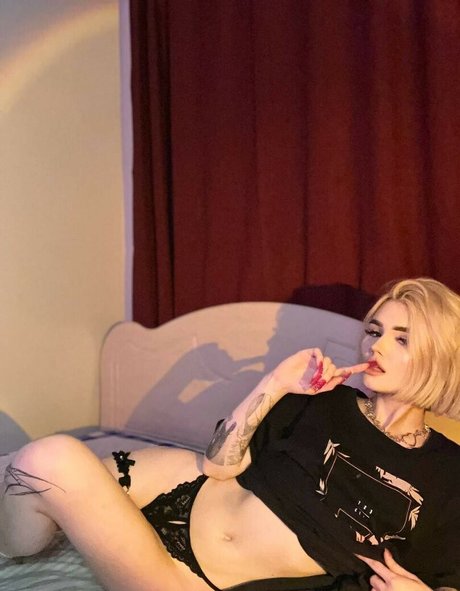 sofaaaaaaaa étoile nue collection