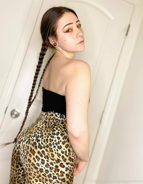 poppunkinn étoile collection