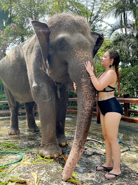 Sophiiejay modèle sympa galerie