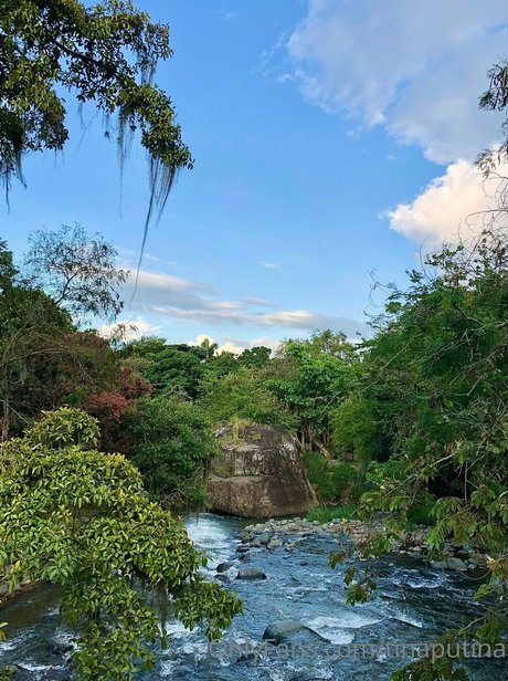 tinaputina étoile magnifique image