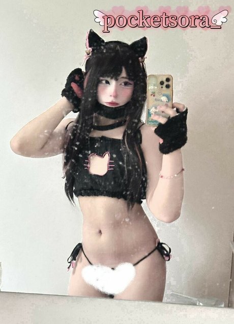 PocketSora star pornographique collection