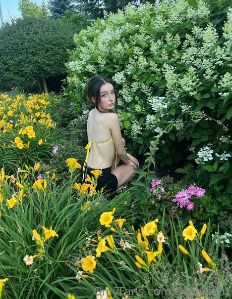 freelolamoon actrice xxx archive