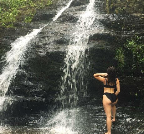 seuls les fans potelés haut de gamme img