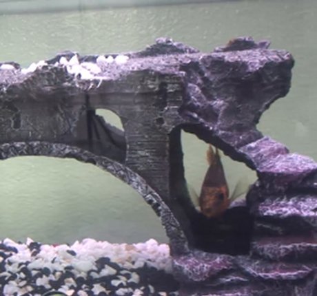 anulingus uniquementfans xxx images