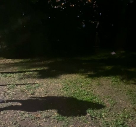 FresaMejia étoile xxx galeries