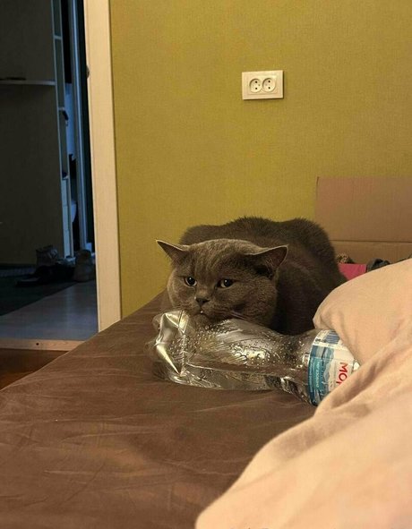 anyuta18 étoile nue galeries