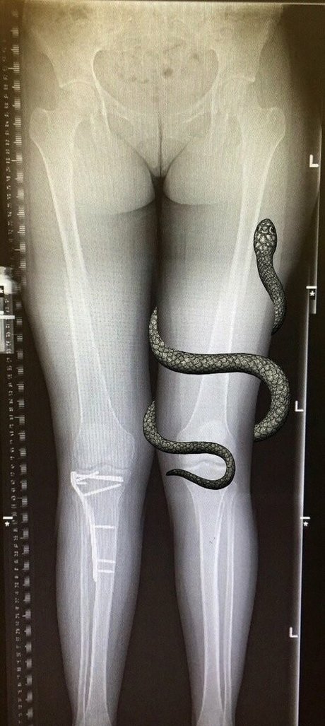 grungifungifree Profilfoto