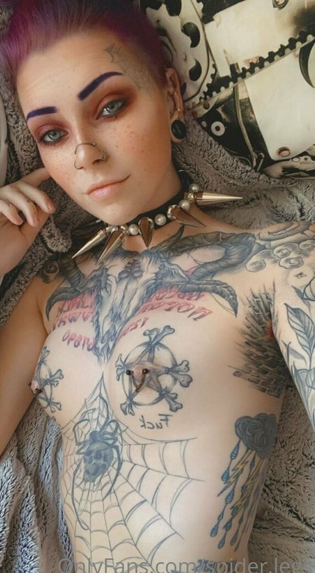 spider legs art modèle image