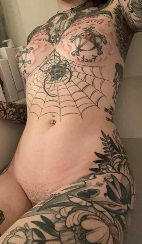 spider legs art étoile images