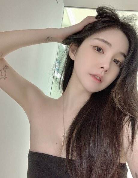 plppt123 haut étoile collection