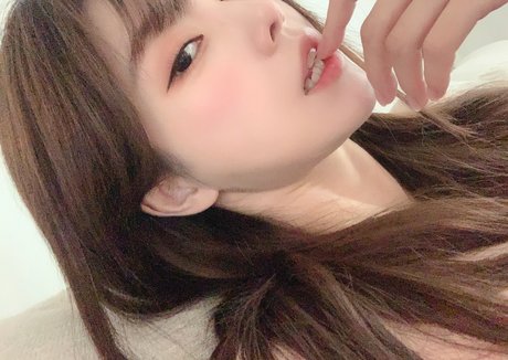 plppt123 star exclusive image