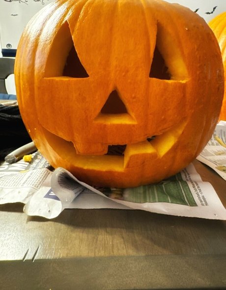 ladynyxxx1 actrice collection