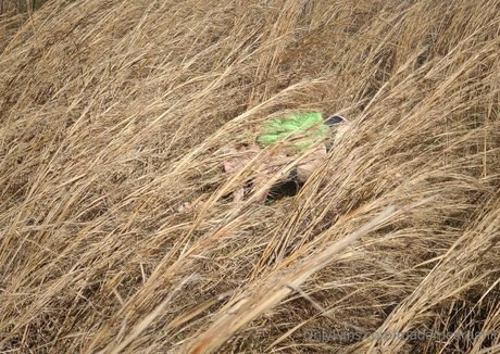 blonde au gros cul onlyfans pornographique érotique collection