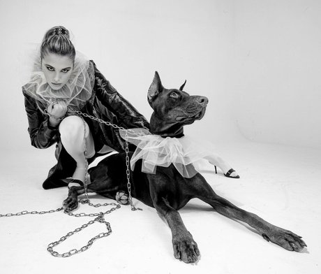 Shabel actrice adulte img