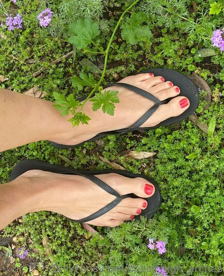 hazel high arches art star du porno galerie