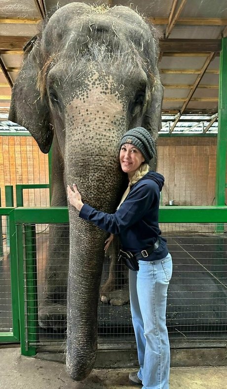 brandilovefreee actrice pornographique des photos