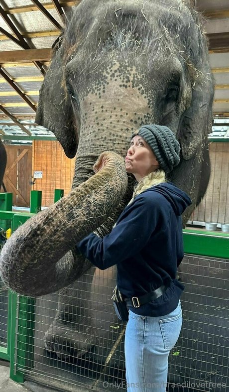 brandilovefreee star du sexe photos