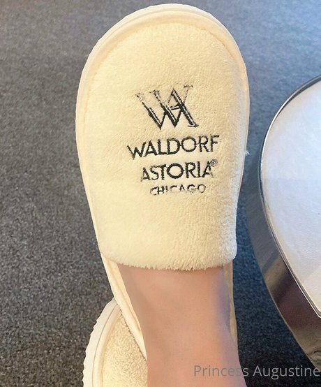 princessaugustine mannequin images